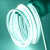 Neon LED Light
