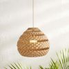 Natural Battery-Operated Large Hive Pendant Light by Dave & Jenny Marrs
